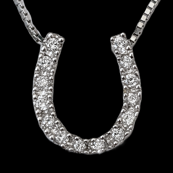 Vintage Diamond Lucky Horseshoe Necklace 14k Pendant 10k Chain Luck Equestrian