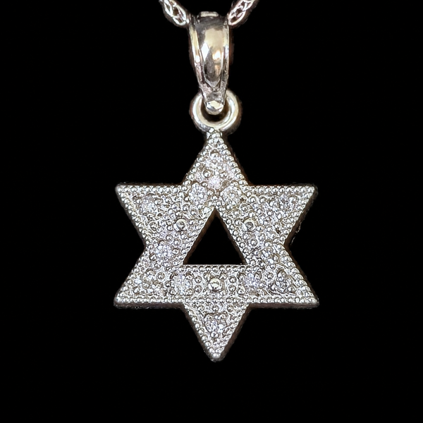 Vintage Dainty Star of David Diamonds 14k White Gold Pendant  with 10k Chain