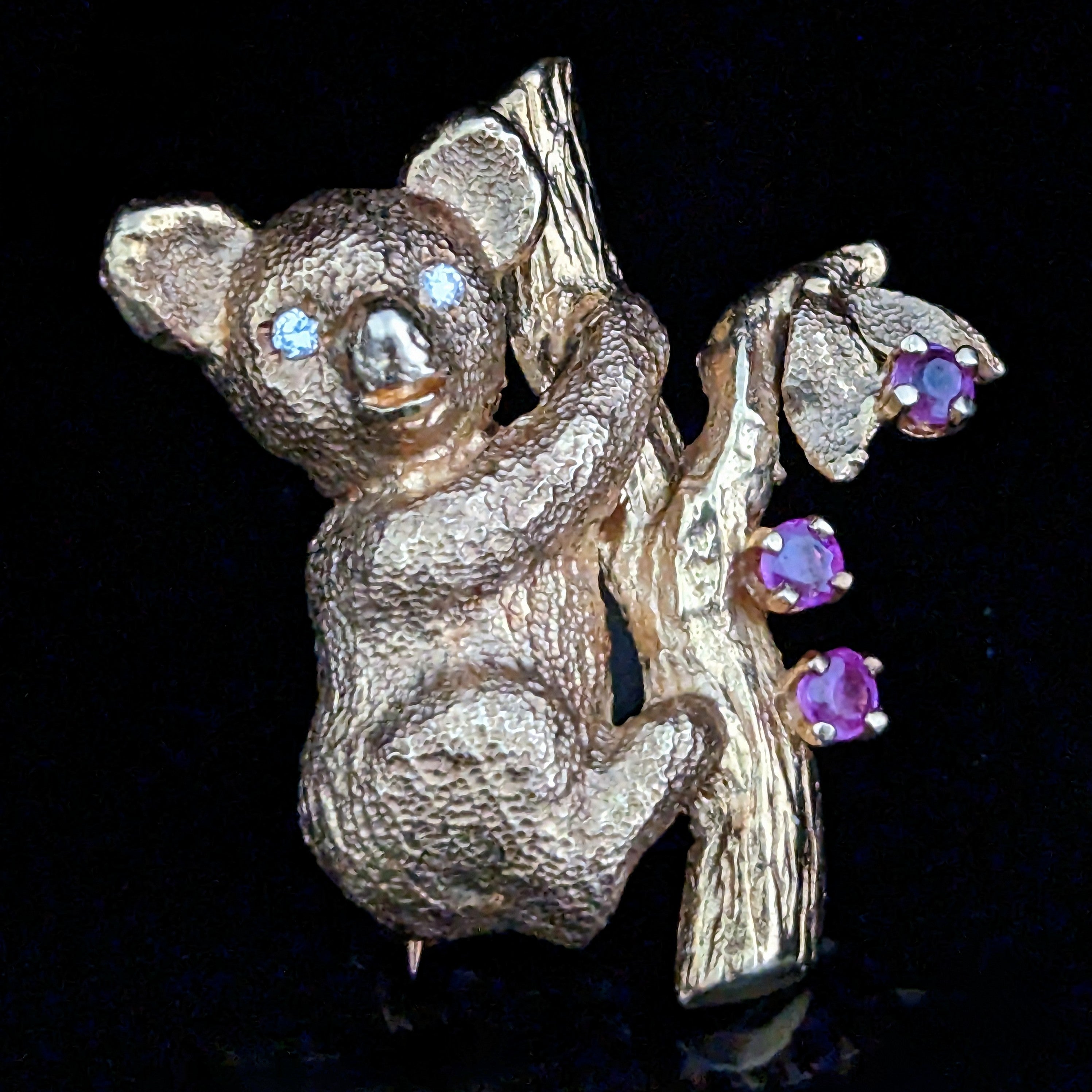 Koala brooch sales